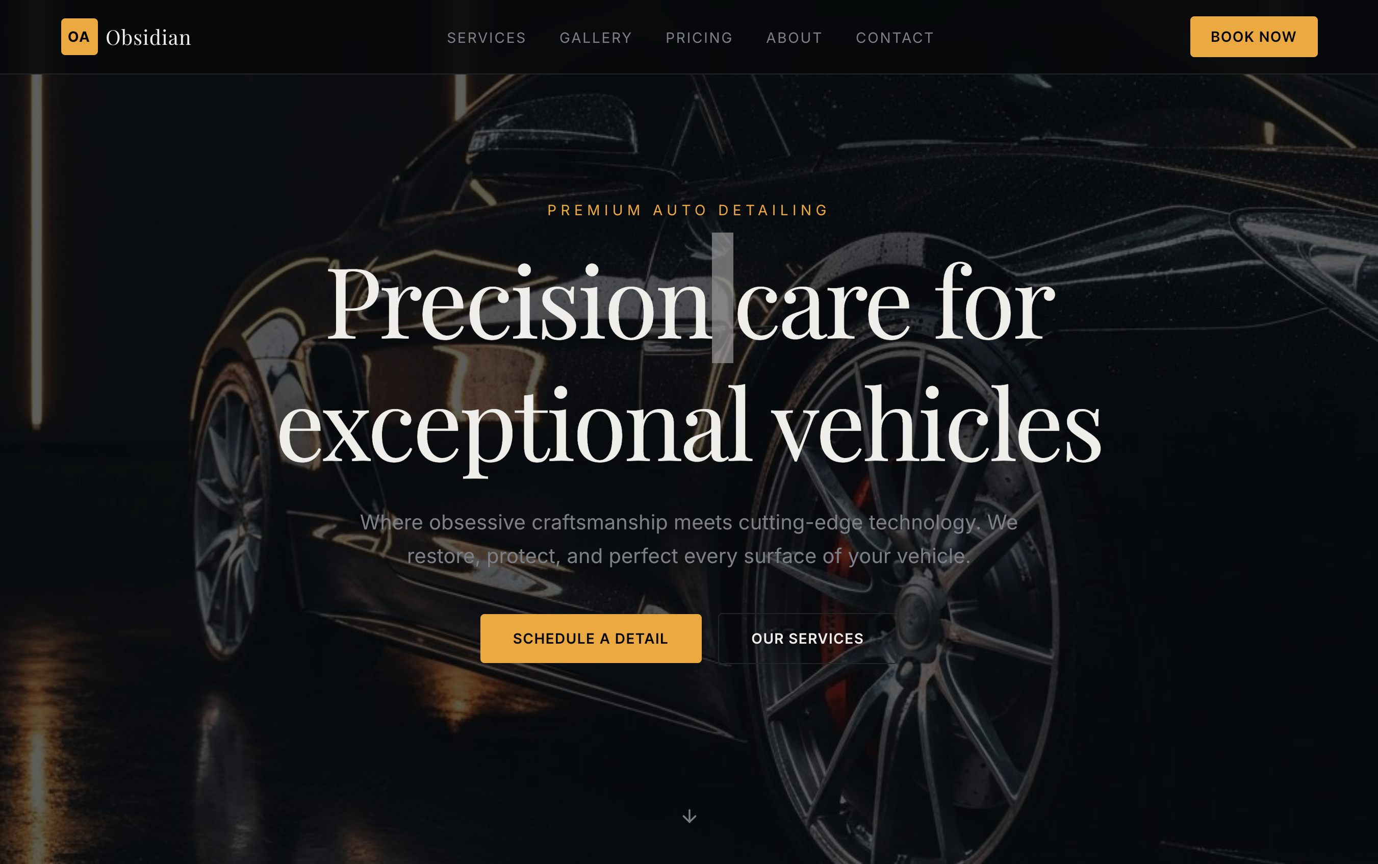 Obsidian Auto Detail Demo